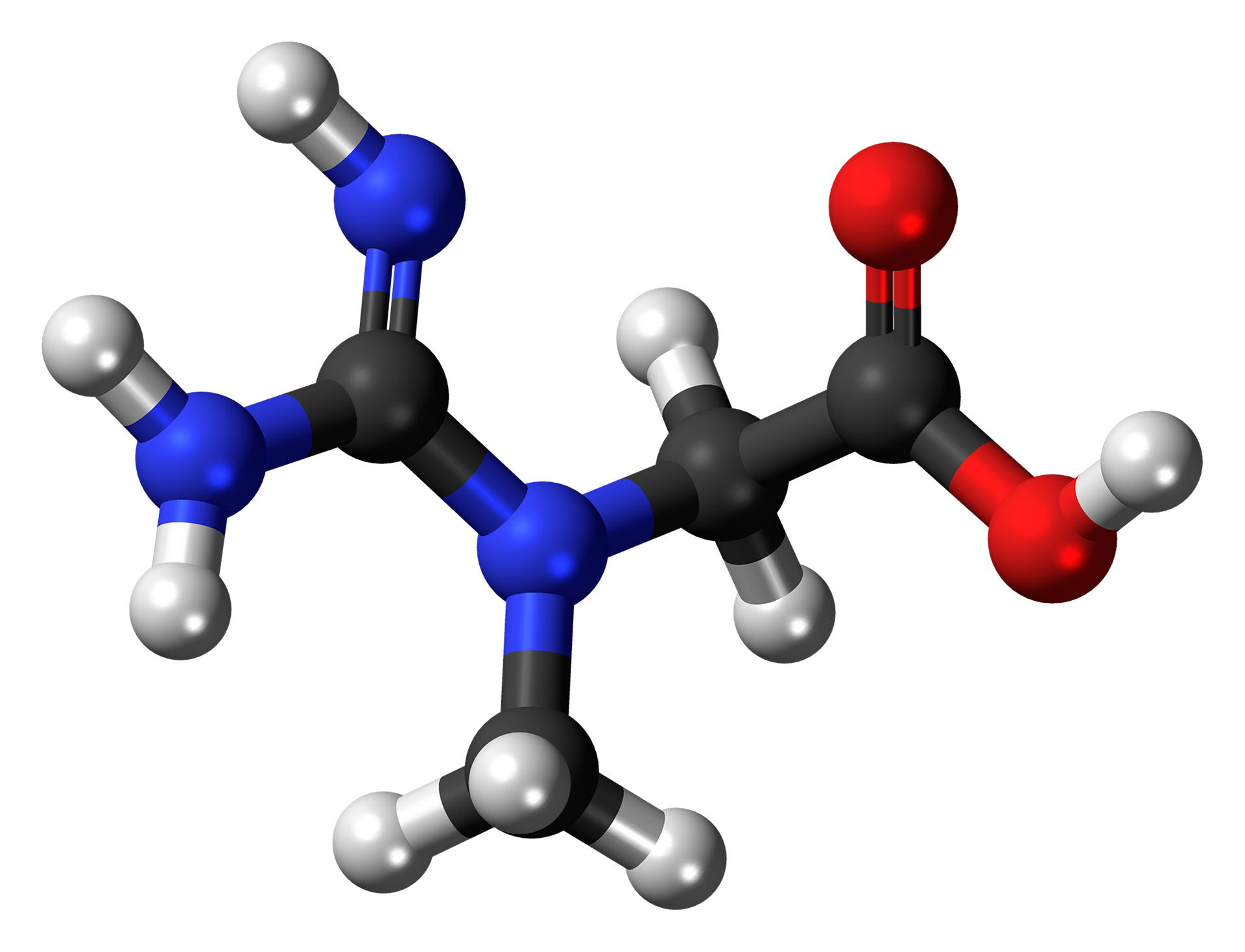 creatine molecule ball